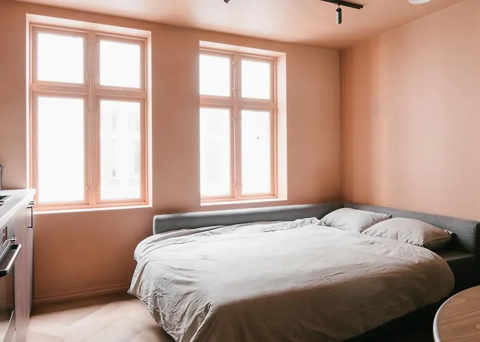 New In Historical Street Lägenhet